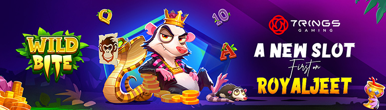 Promotional Poster Banner