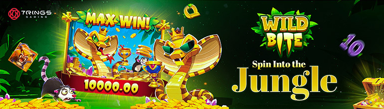 Promotional Poster Banner