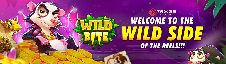 Promotional Poster Banner