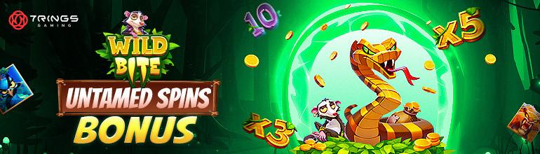 Promotional Poster Banner